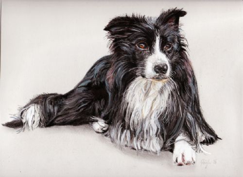 A4 Pastel Dog Portrait